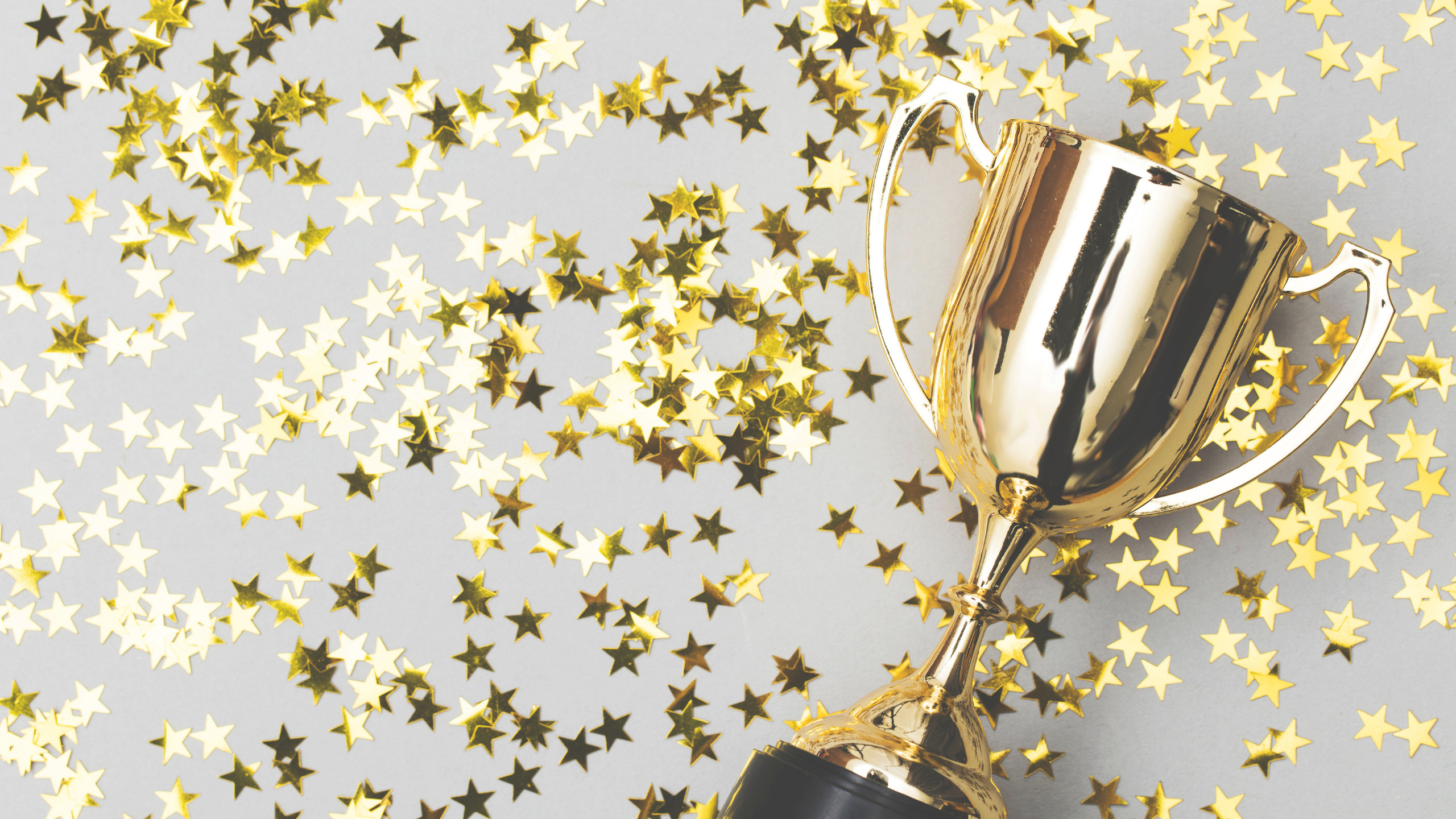 The Winners Secret: How to Succeed When Others Fail